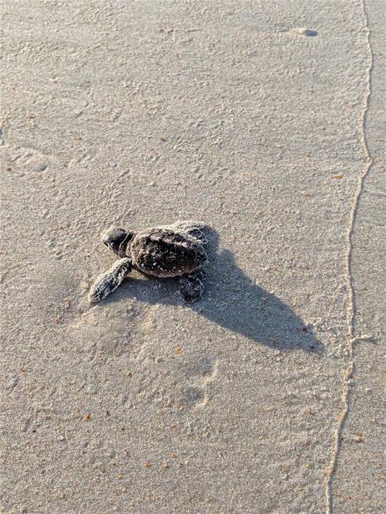 Active With Contract: $599,000 (3 beds, 2 baths, 1948 Square Feet)