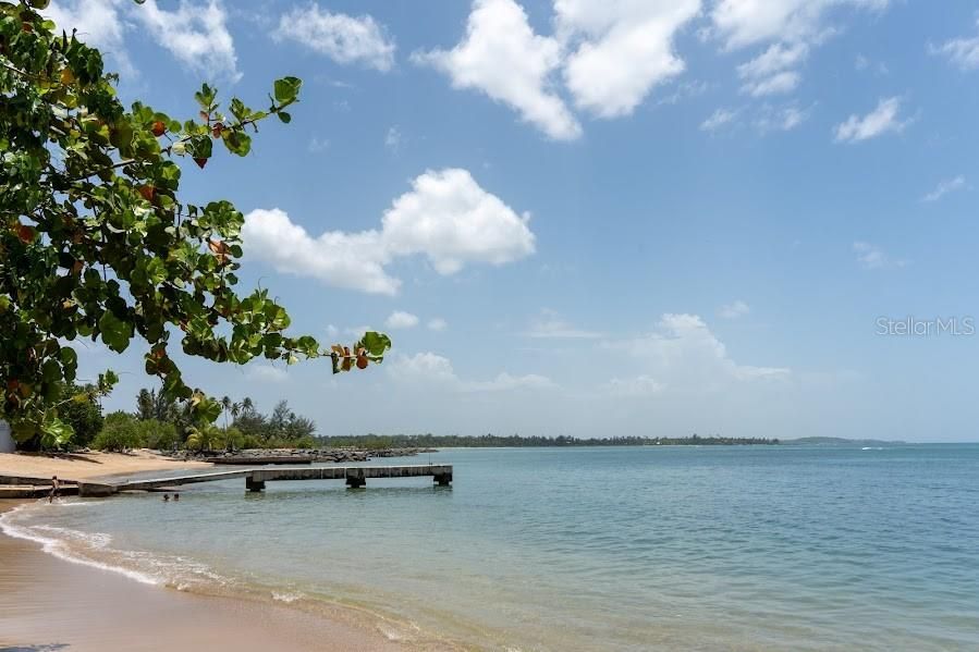 For Rent: $4,000 (4 beds, 4 baths, 0 Square Feet)