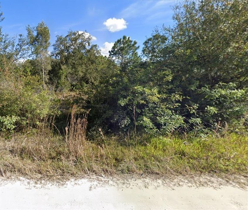 最近售出: $58,900 (1.25 acres)