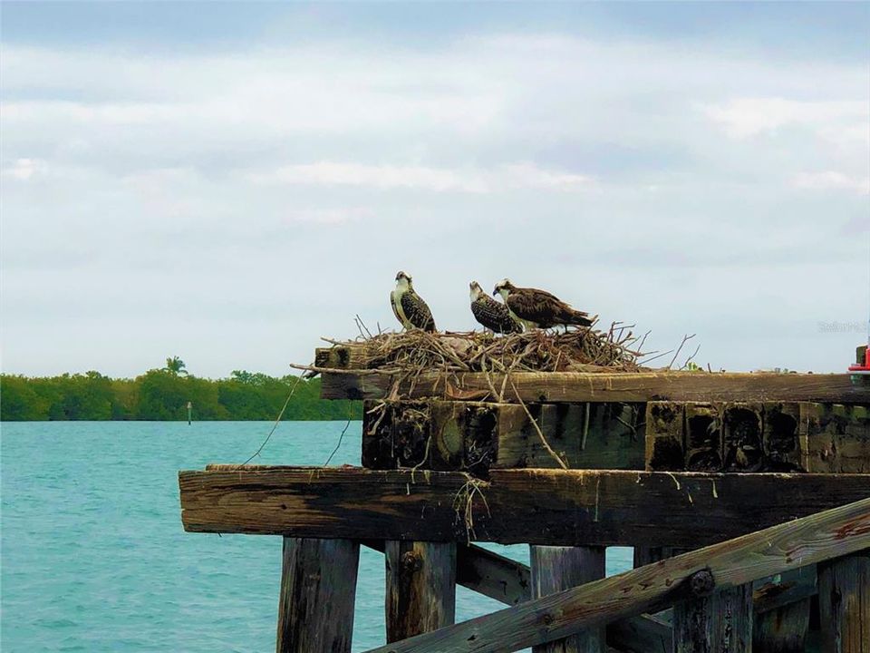 For Sale: $169,900 (0.11 acres)