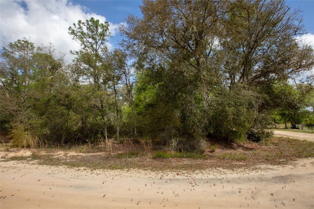 For Sale: $29,900 (1.06 acres)