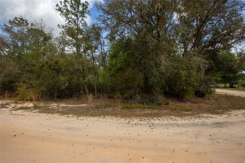 For Sale: $29,900 (1.06 acres)