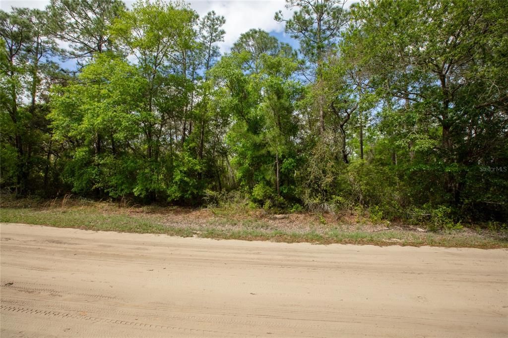 For Sale: $29,900 (1.06 acres)