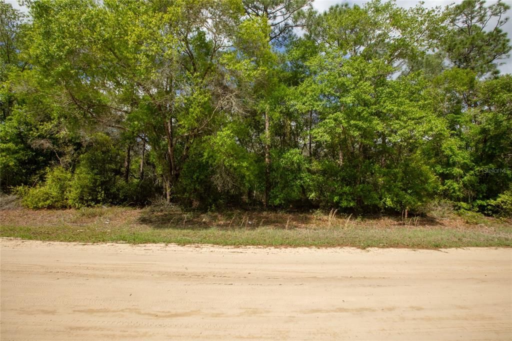 For Sale: $29,900 (1.06 acres)