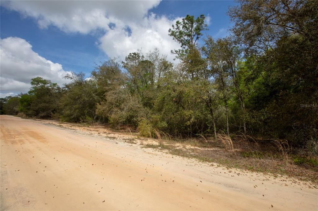 For Sale: $29,900 (1.06 acres)