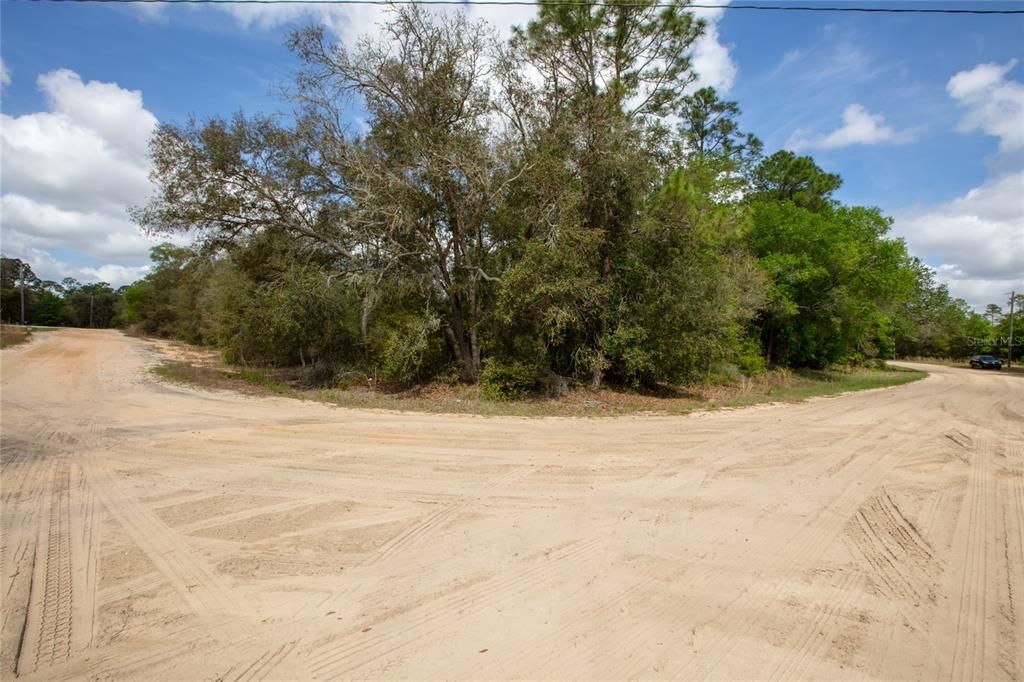 For Sale: $29,900 (1.06 acres)