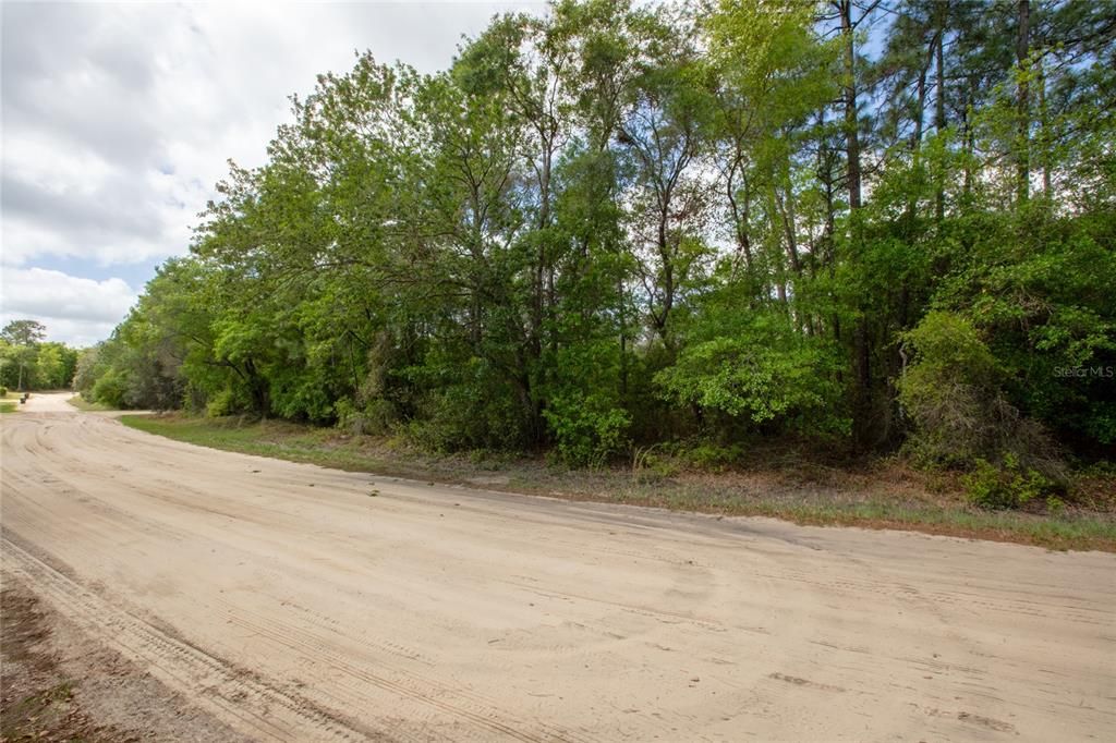 For Sale: $29,900 (1.06 acres)