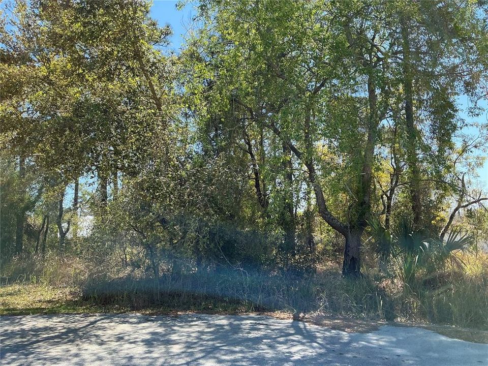 最近售出: $35,000 (0.23 acres)