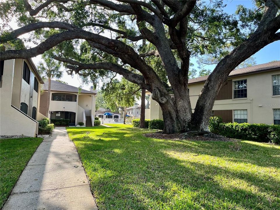 For Sale: $154,900 (1 beds, 1 baths, 570 Square Feet)