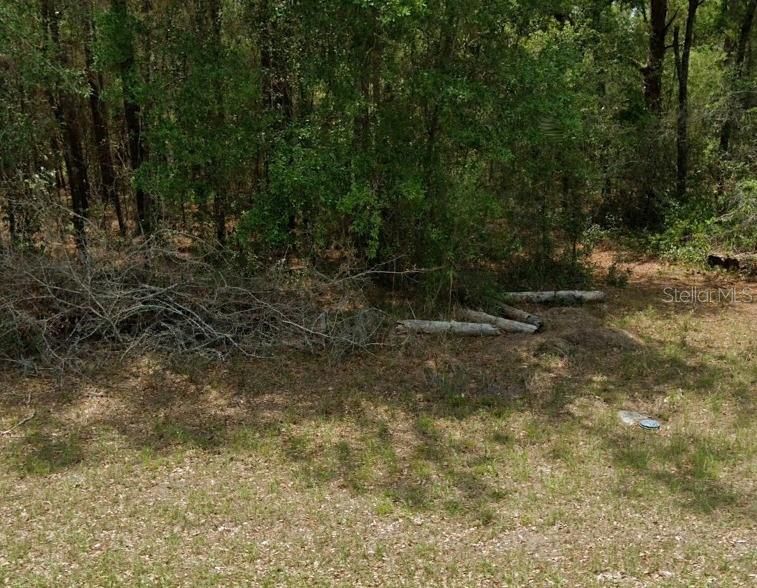 Activo con contrato: $22,900 (0.23 acres)