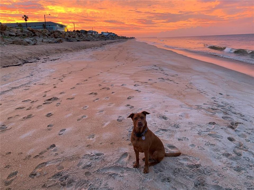 For Sale: $1,495,000 (0.26 acres)