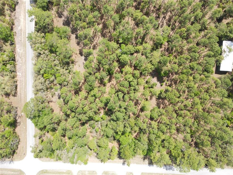 En Venta: $75,000 (1.90 acres)