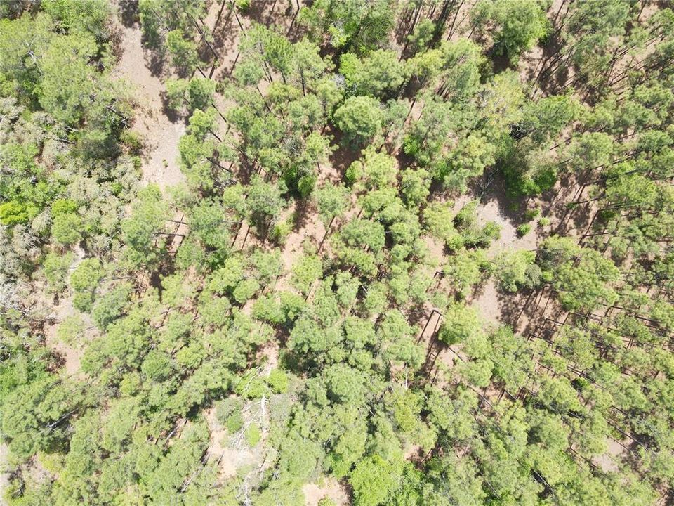 En Venta: $75,000 (1.90 acres)