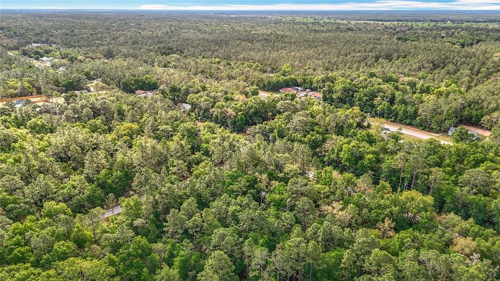 Activo con contrato: $35,000 (0.99 acres)