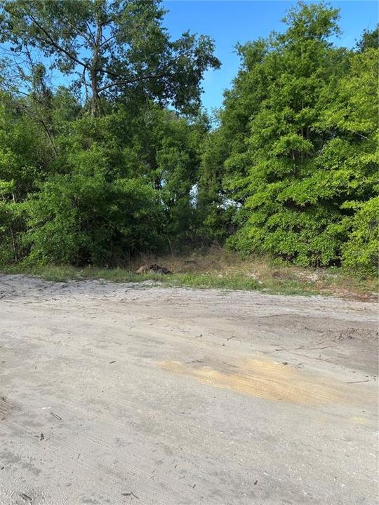 Recently Sold: $28,000 (0.45 acres)