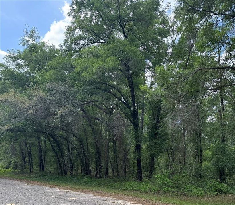 待售: $18,000 (0.23 acres)