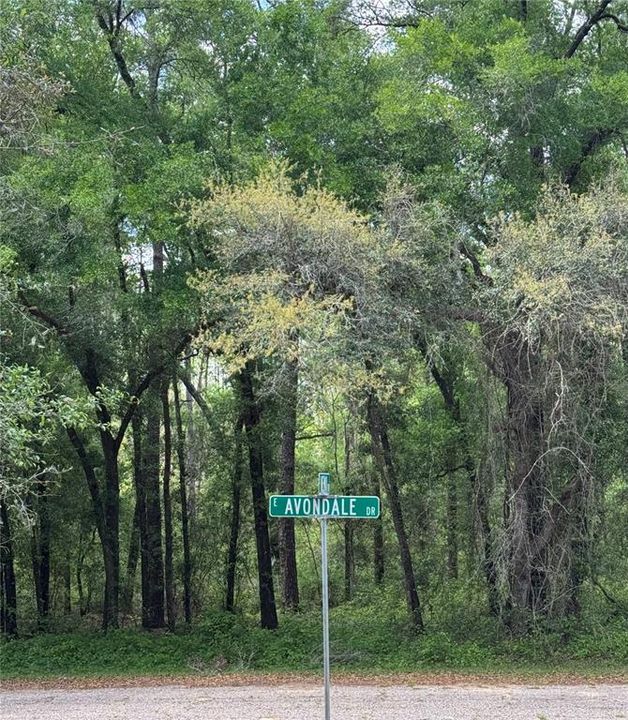 待售: $18,000 (0.23 acres)