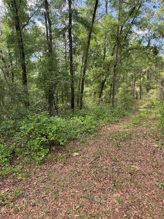 待售: $18,000 (0.23 acres)