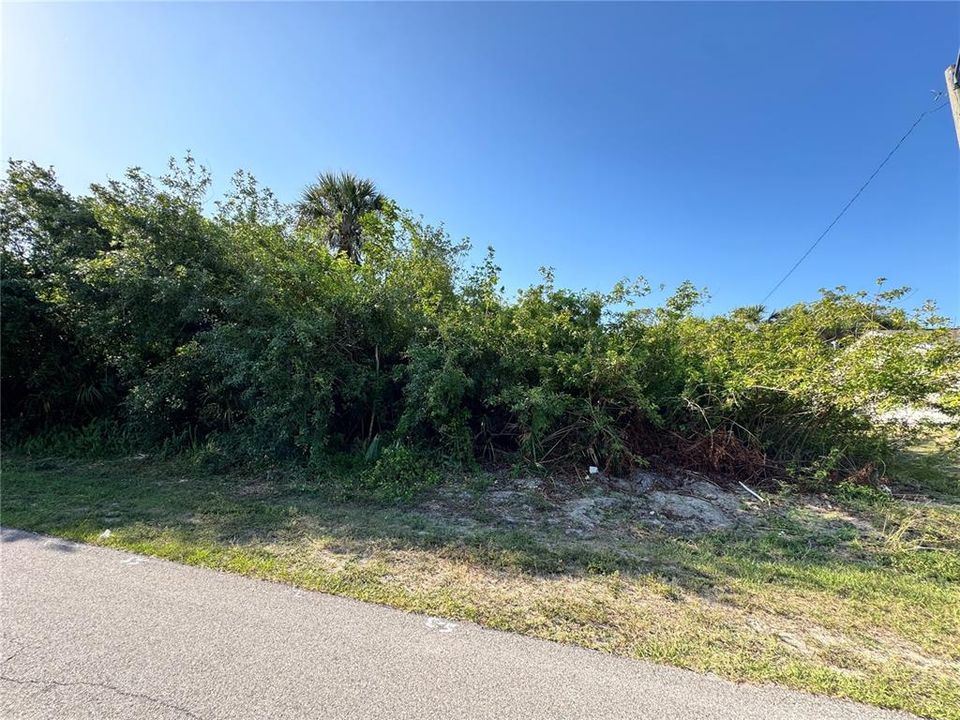 For Sale: $29,000 (0.23 acres)