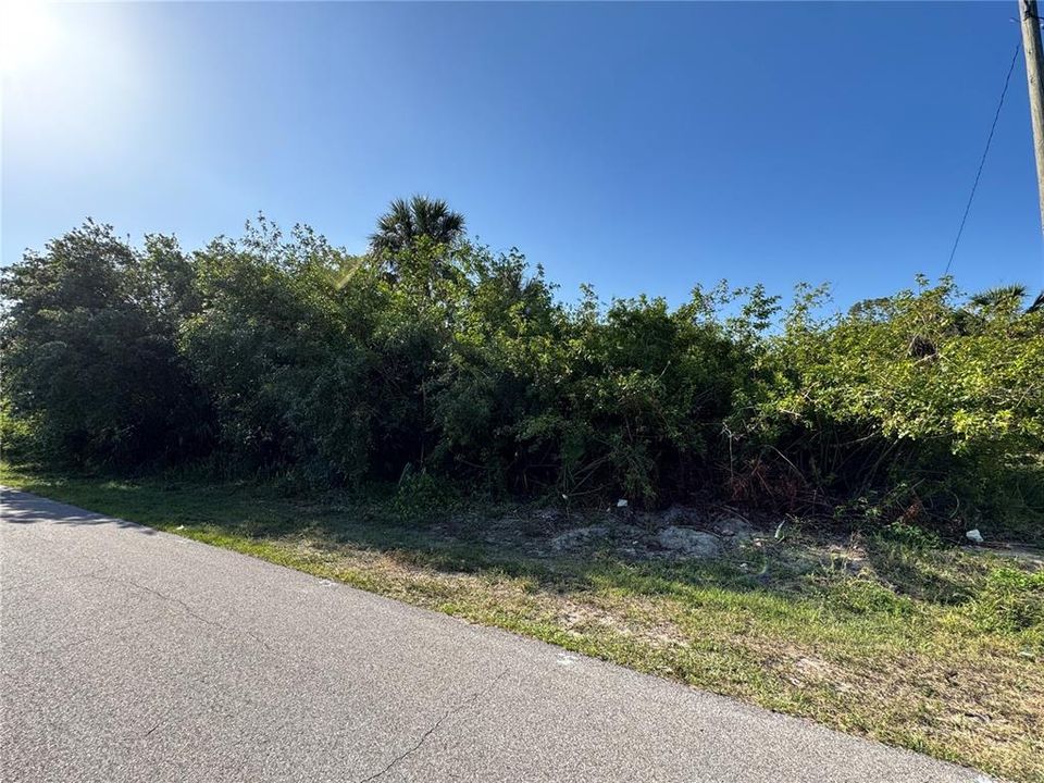 For Sale: $29,000 (0.23 acres)