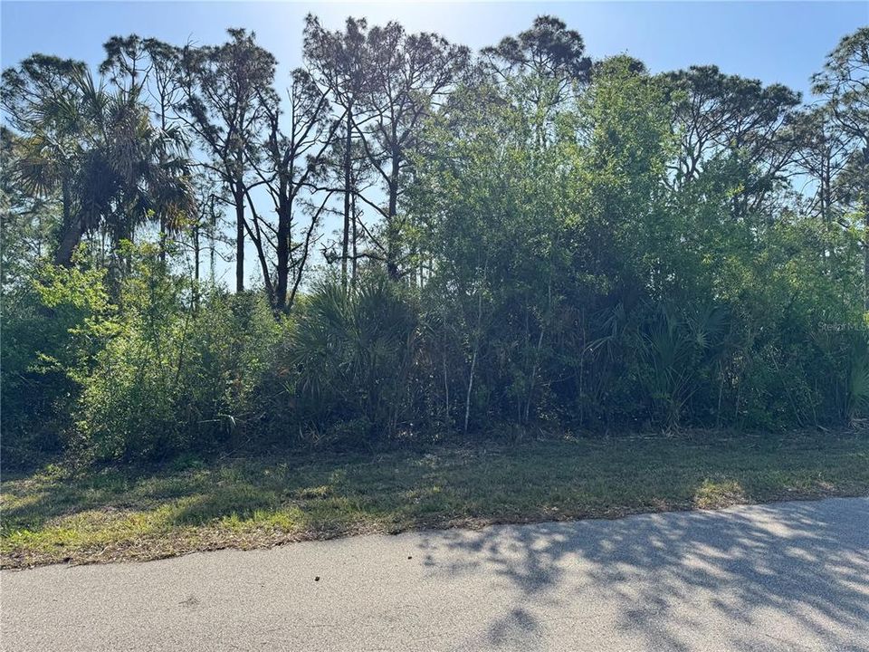 На продажу: $29,000 (0.23 acres)