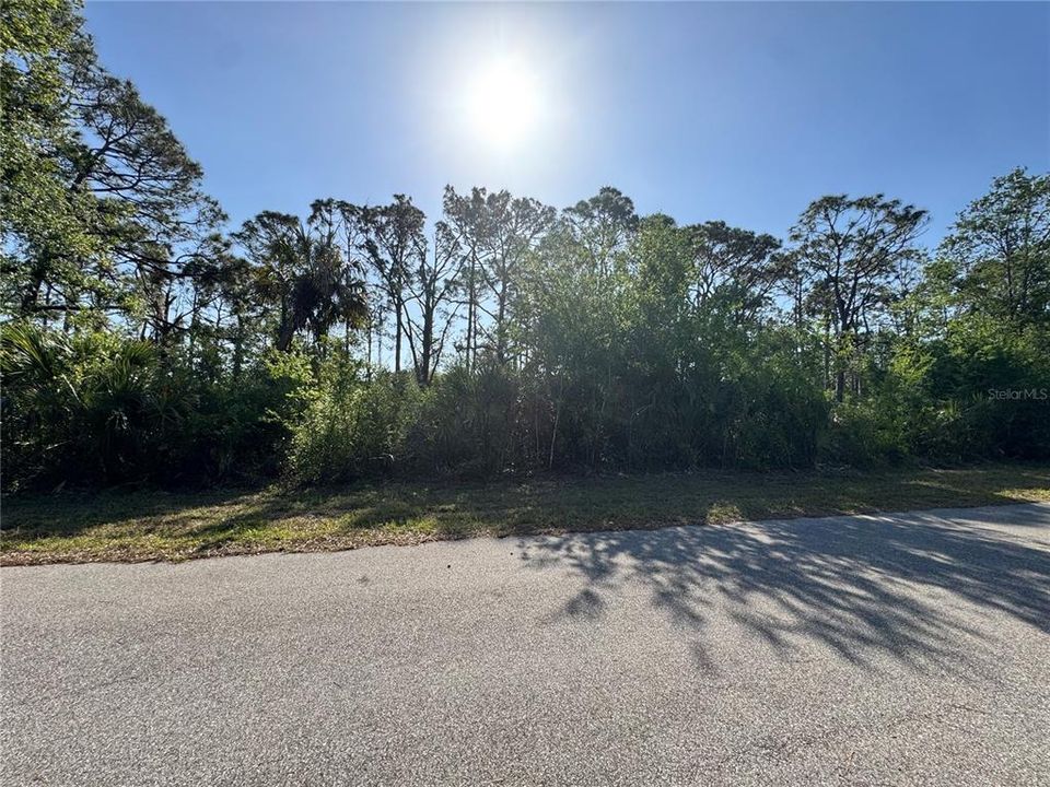 На продажу: $29,000 (0.23 acres)