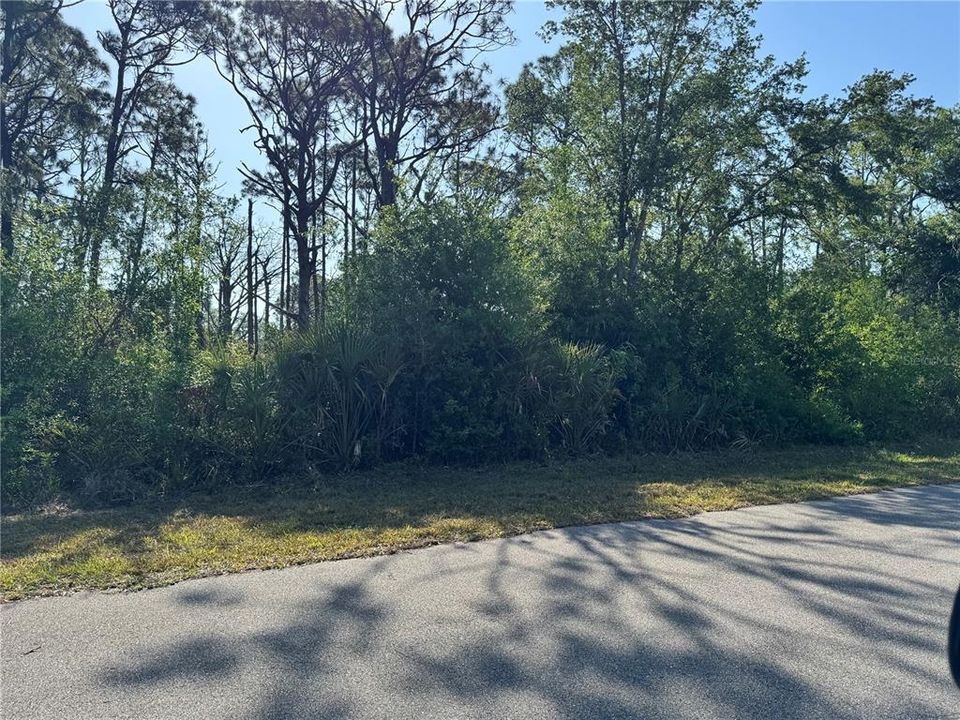 На продажу: $29,000 (0.23 acres)