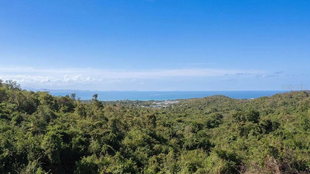 For Sale: $275,000 (1.40 acres)