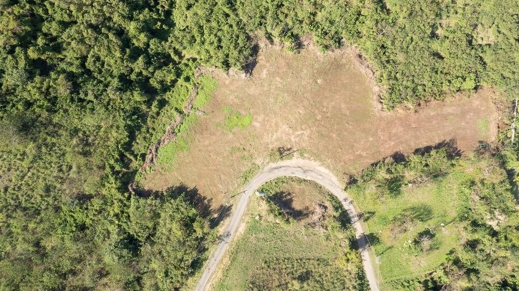 For Sale: $275,000 (1.40 acres)