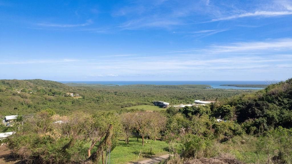 For Sale: $275,000 (1.40 acres)