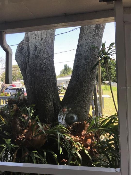 На продажу: $215,000 (2 спален, 2 ванн, 1222 Квадратных фут)