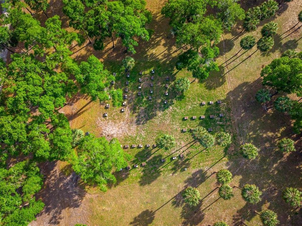 待售: $2,000,000 (62.02 acres)