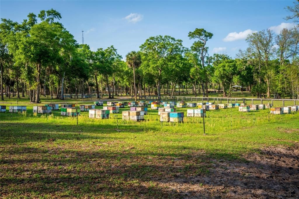 待售: $2,000,000 (62.02 acres)