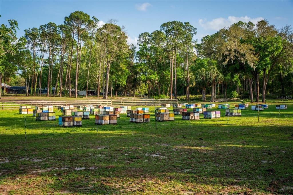 待售: $2,000,000 (62.02 acres)