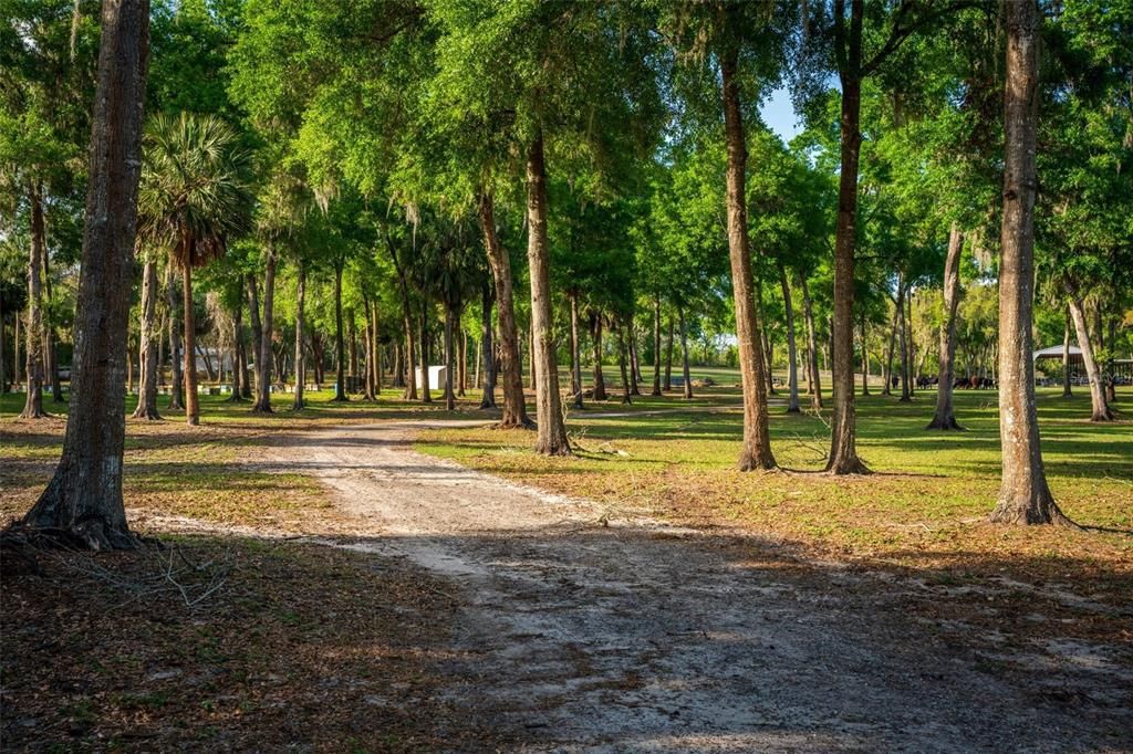 待售: $2,000,000 (62.02 acres)