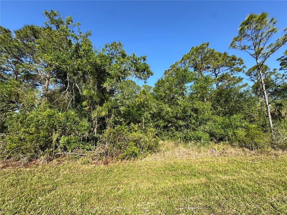 На продажу: $29,000 (0.23 acres)