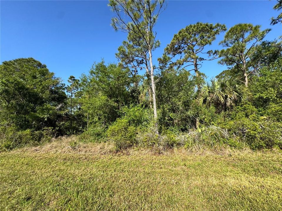 На продажу: $29,000 (0.23 acres)