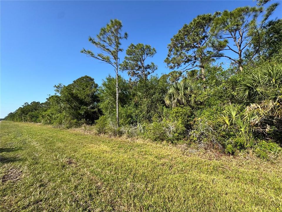 На продажу: $29,000 (0.23 acres)