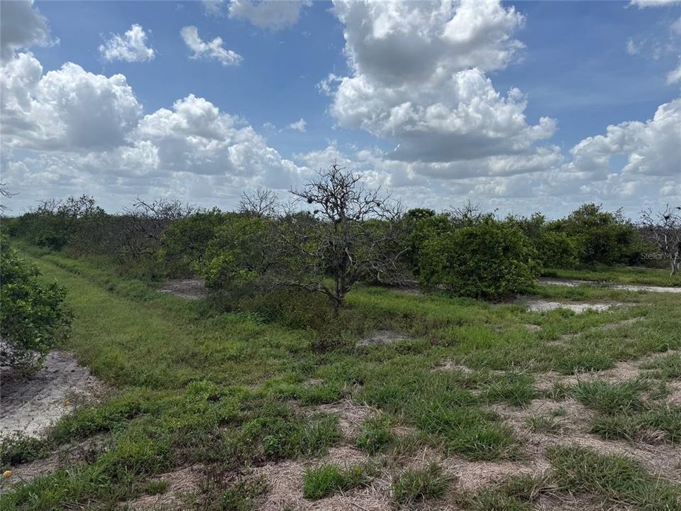 Recently Sold: $40,000 (5.00 acres)