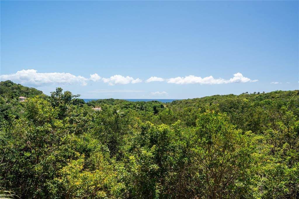 For Sale: $3,200,000 (5 beds, 3 baths, 6000 Square Feet)