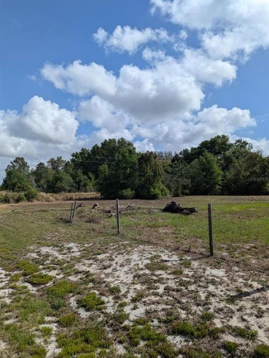For Sale: $29,000 (0.46 acres)