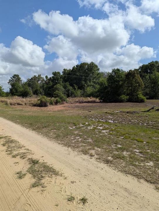 For Sale: $29,000 (0.46 acres)