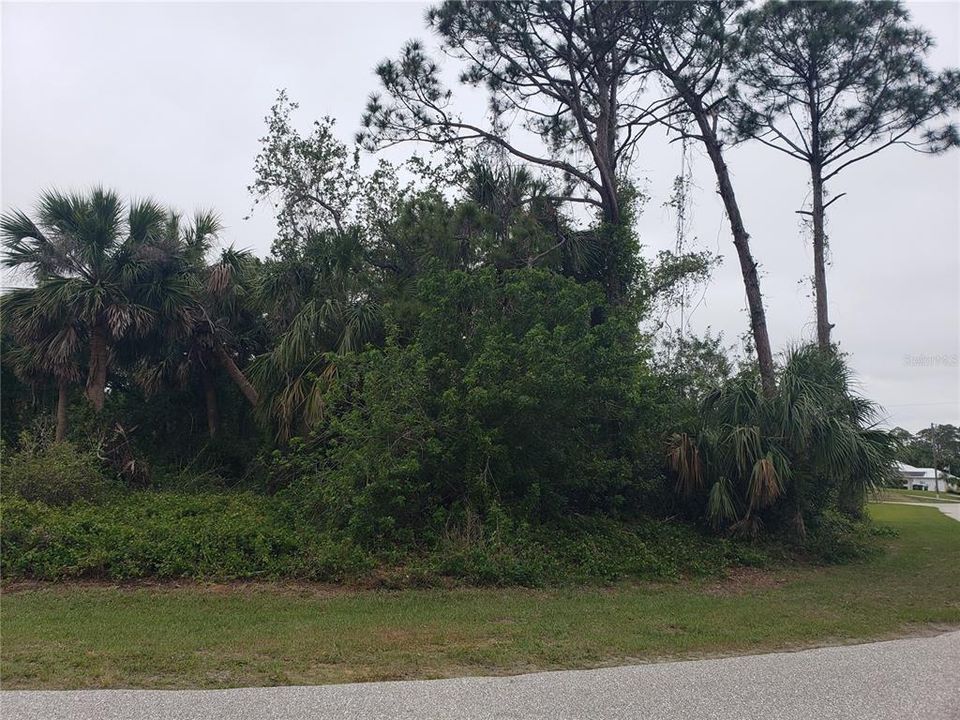 For Sale: $35,000 (0.28 acres)