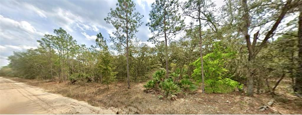 For Sale: $13,000 (0.22 acres)