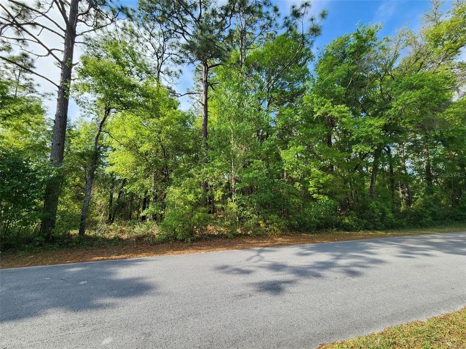 最近售出: $24,900 (1.00 acres)