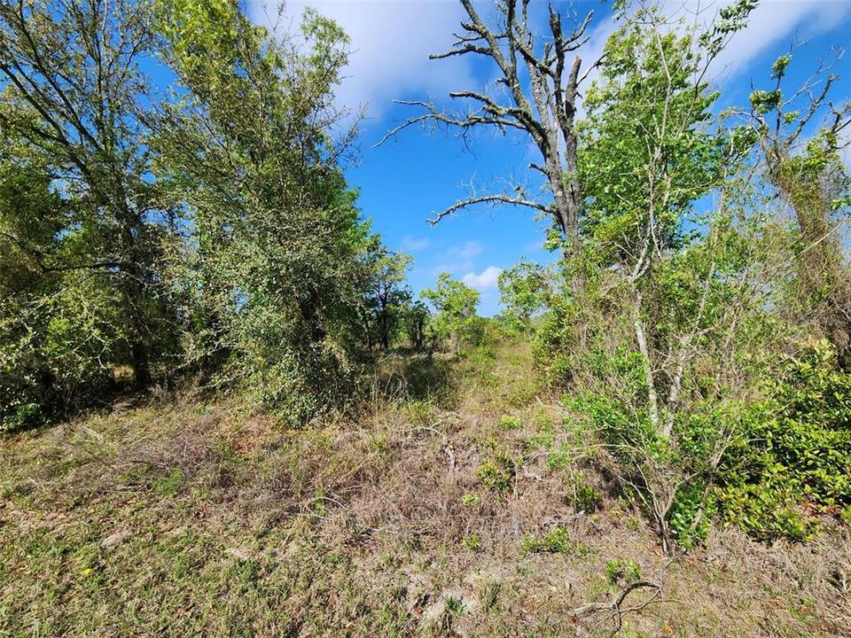 Recently Sold: $24,900 (0.99 acres)