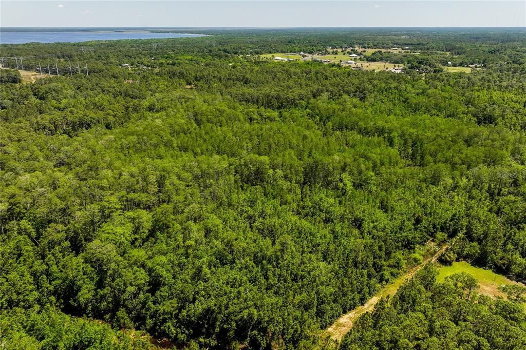 待售: $109,000 (5.00 acres)