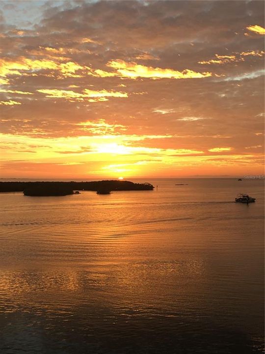 На продажу: $360,000 (2 спален, 2 ванн, 1103 Квадратных фут)