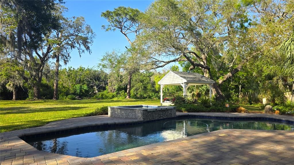 Pool and backyard