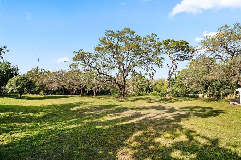 1.28 acres garden